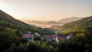 A valley with houses surrounded by dense forest and mountains in the background.