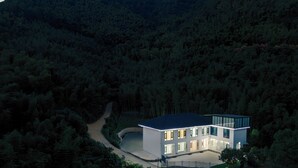 Una casa moderna con un camino de entrada curvo, rodeada de un bosque denso.
