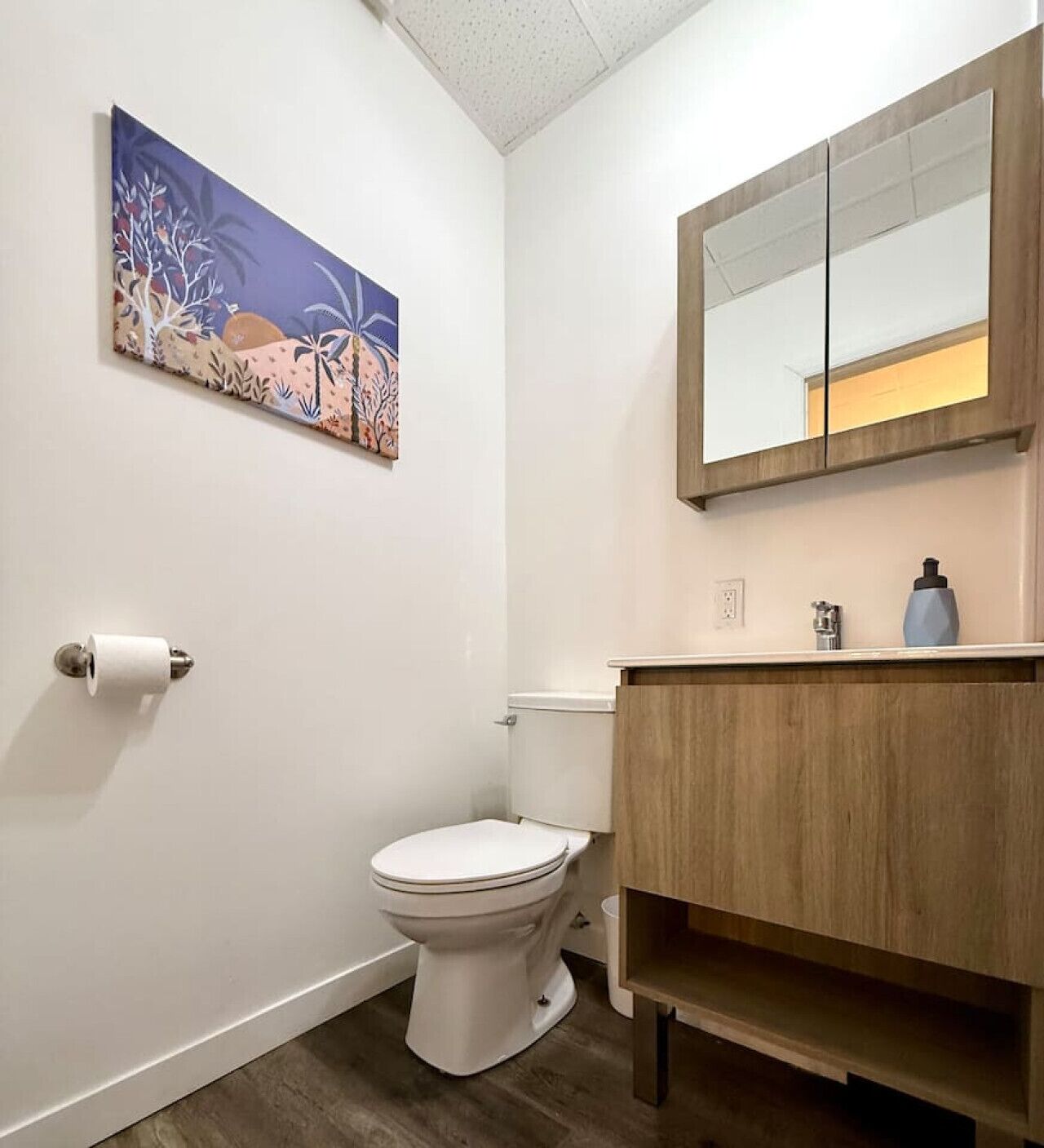 Secador de pelo y toallas