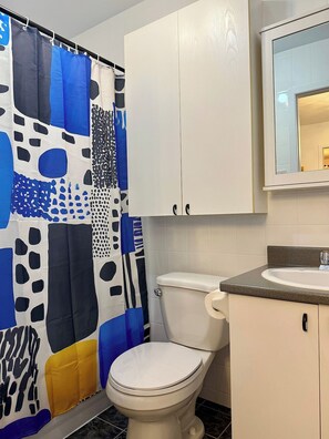 Shower, hair dryer, towels, shampoo