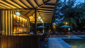 Ein Außenbereich mit Bar, Pool, Liegestühlen und Sonnenschirmen.