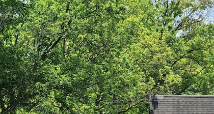 Unique Riverfront Gem: Dogs Ok, King Bed (Cabin 1)