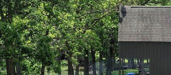 Peace on the River: King Bed, Dogs Ok (Cabin 3)