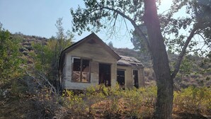 Uma cabana de madeira abandonada, rodeada por vegetação densa e árvores.