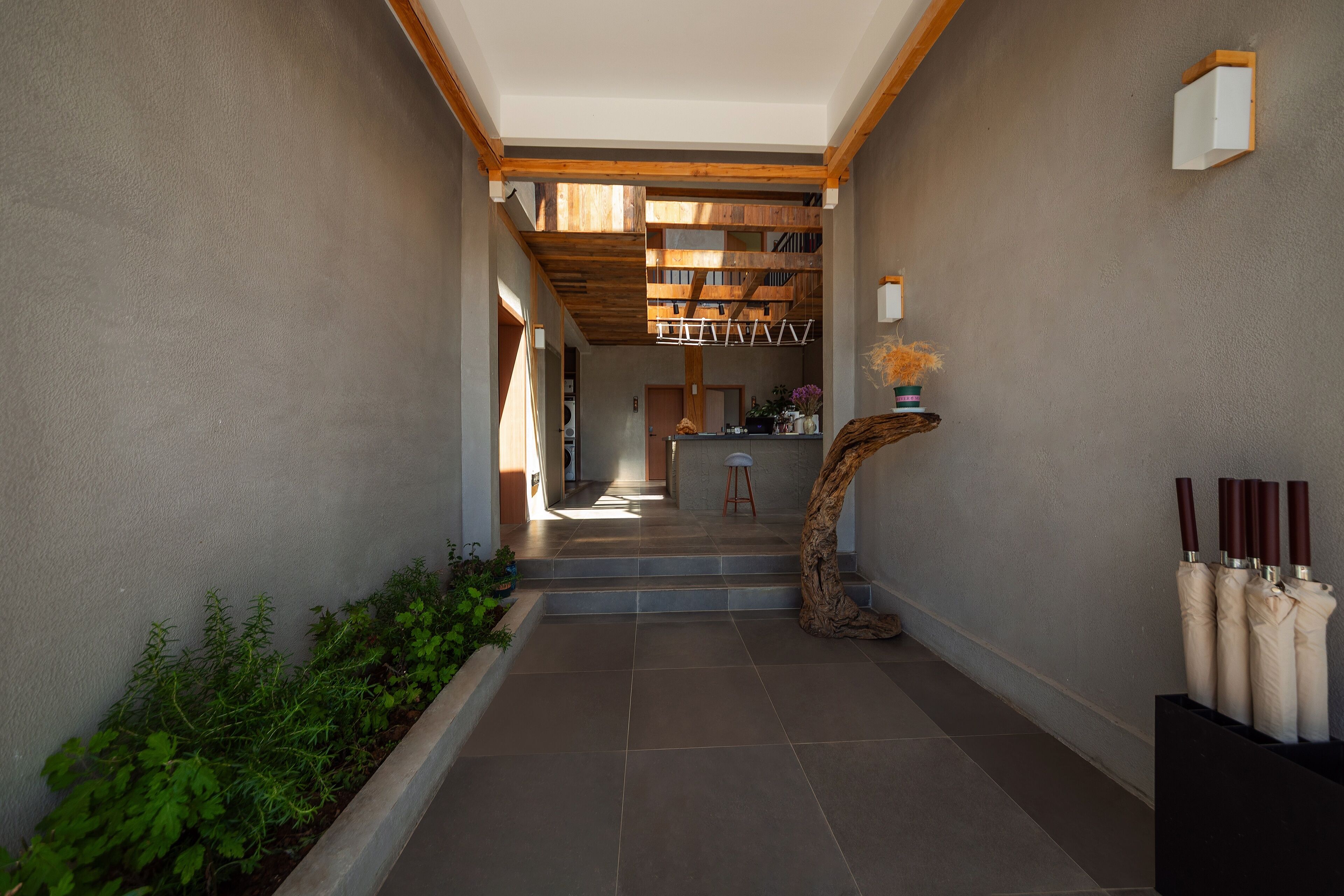Un couloir avec un plafond en bois, un escalier et un espace dédié aux plantes.
