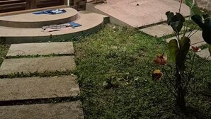 Un espace extérieur éclairé la nuit, avec un chien, une porte en bois et un petit jardin.