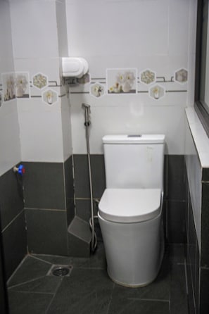 Shower, free toiletries, hair dryer, towels