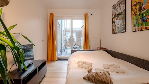 A hotel room with a bed, a television, a plant, and a view of the outside. - Sea of Tranquility with terrace by Interhome (Oostende)