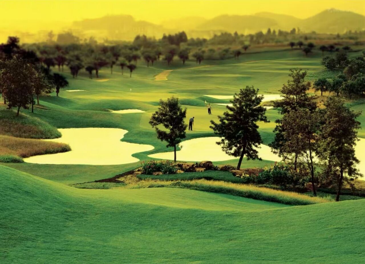 Un campo de golf con búnkeres de arena, árboles y un terreno ondulado.