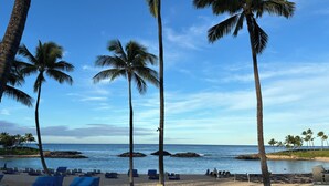 Una spiaggia con palme, sedie a sdraio e un segnale che indica una zona di pericolo.