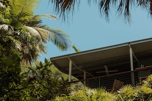 A building with a corrugated metal roof, surrounded by dense tropical foliage.