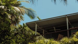 Un edificio con techo de lámina corrugada, rodeado de abundante follaje y palmeras.