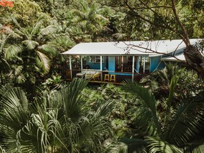 A house with a covered porch, surrounded by dense tropical vegetation.