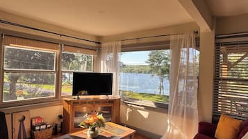 Smart TV, chimenea y libros
