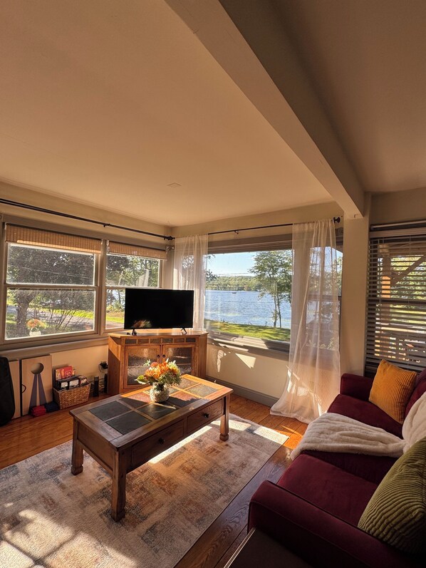 Smart TV, fireplace, books