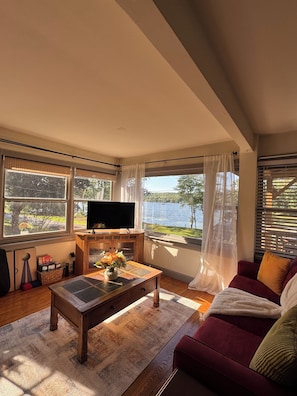 Smart TV, fireplace, books