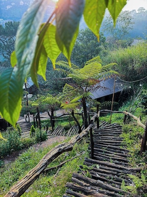Superior Studio | Premium bedding, in-room safe, individually decorated - Dong Homestay (Da Lat)