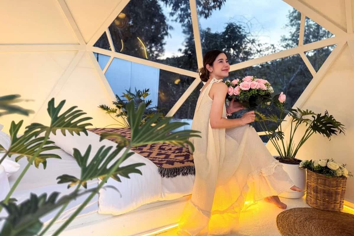 A tent with a geometric window design, a bed with a patterned blanket, and potted plants.