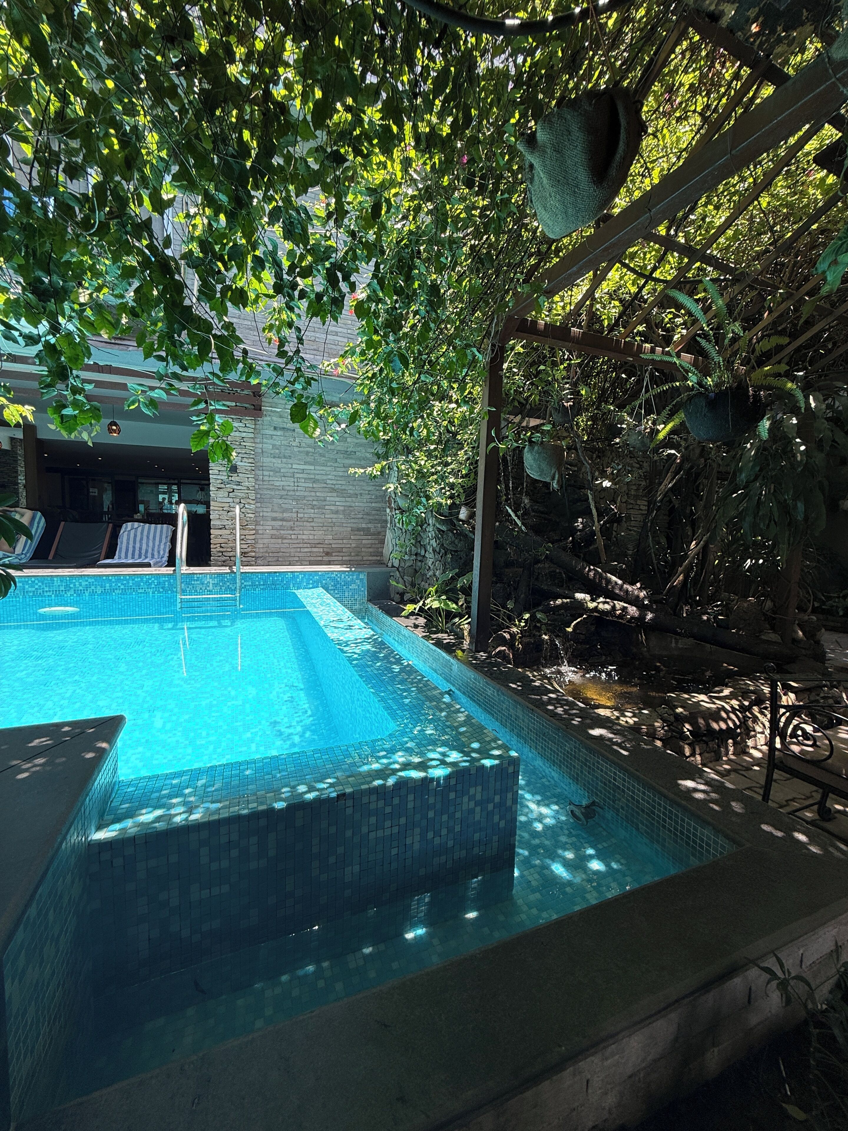 A swimming pool with a stone border, surrounded by lush greenery and a wooden pergola.