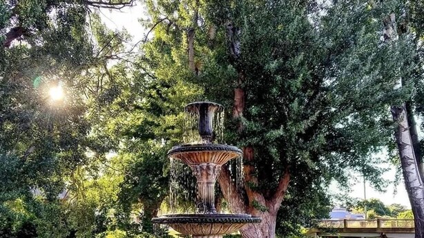 A multi-tiered fountain in a park with a large tree in the background.
