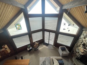 TV connectée, cheminée, livres, vidéothèque