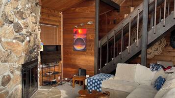 Smart TV, fireplace, books, video library