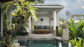 Televisión 55 pulgadas con canales de televisión por cable