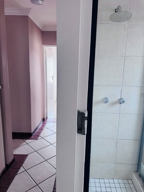 Ducha, toallas, papel higiénico
