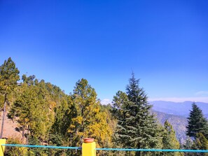 View from property - The Alpine Vista (Almora)