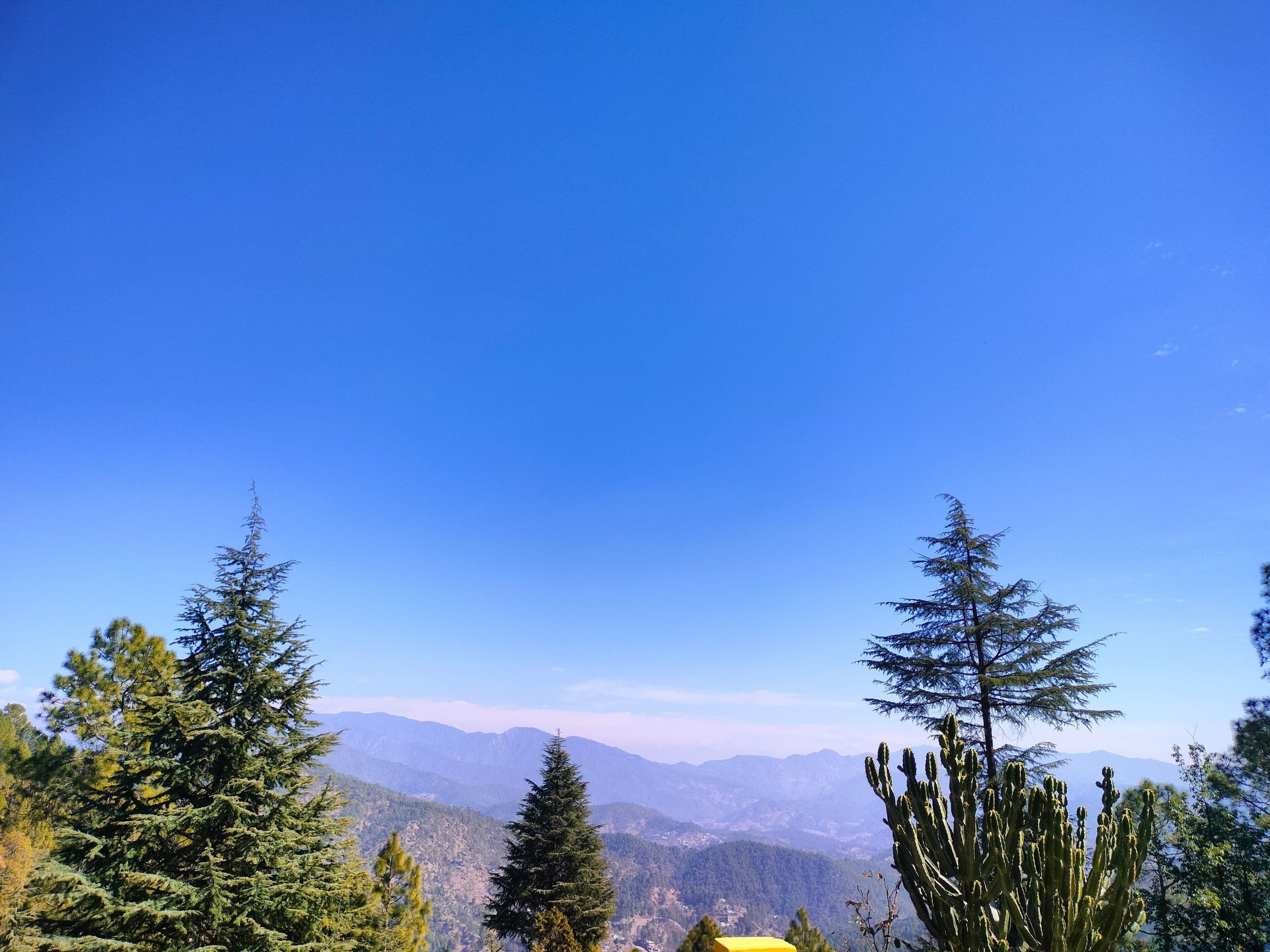 Un paisaje montañoso con árboles de coníferas y un cielo azul despejado.