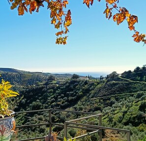 Property grounds - Casa del Palmas - Charming Private Villa with 2 Bedrooms. 25 minutes from Malaga (Moclinejo)