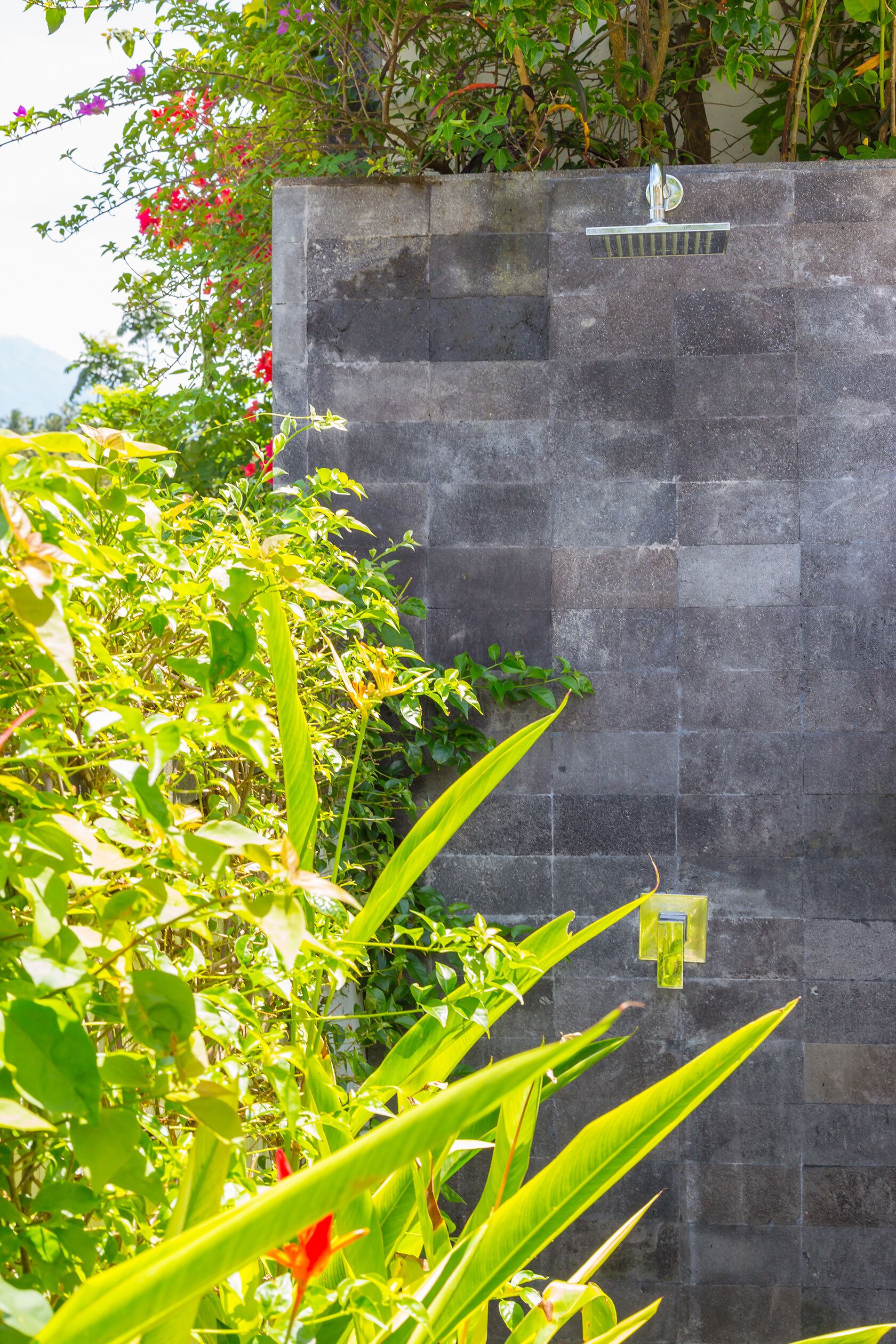 A stone wall with a metal gate and lush green foliage.