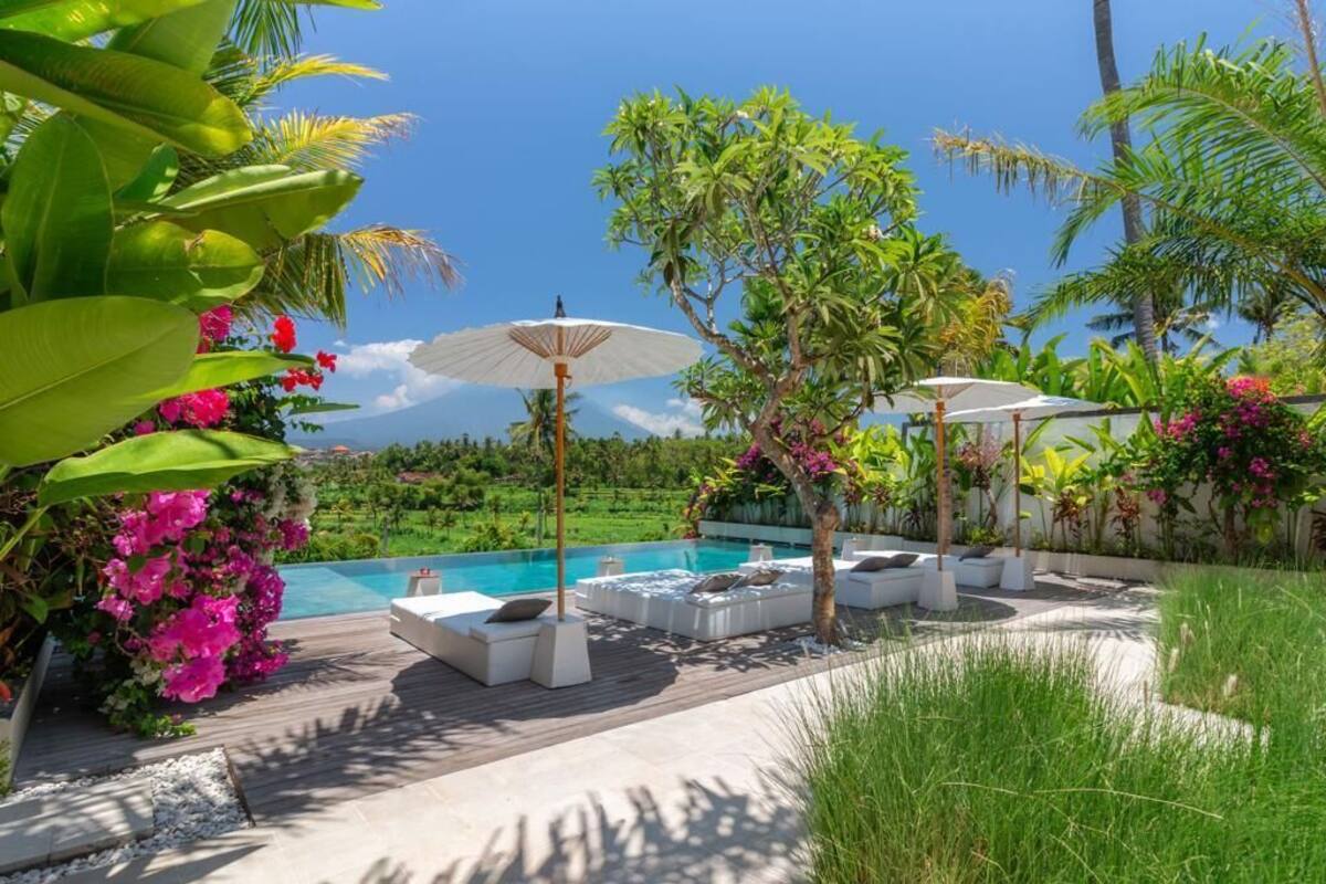 A poolside area with lounge chairs and umbrellas, surrounded by lush greenery and flowering plants.