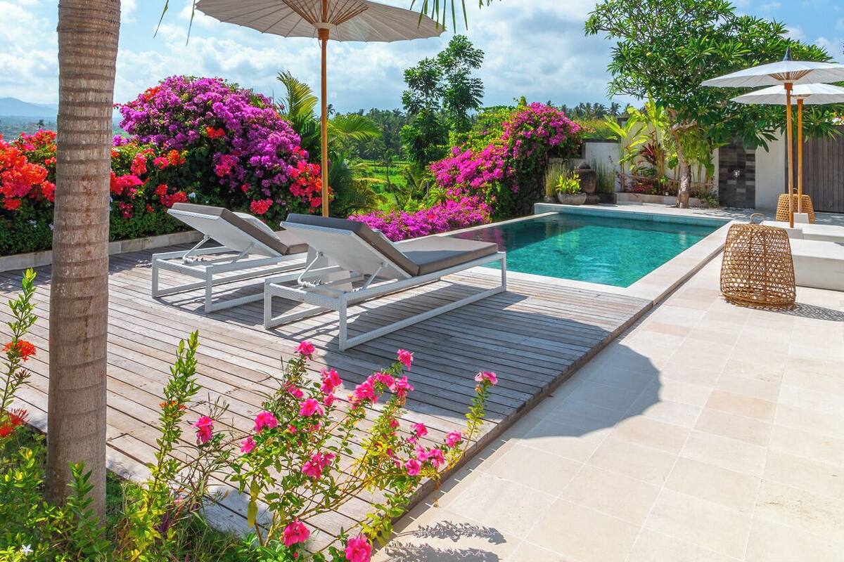A pool area with lounge chairs, a palm tree, and flowering plants.