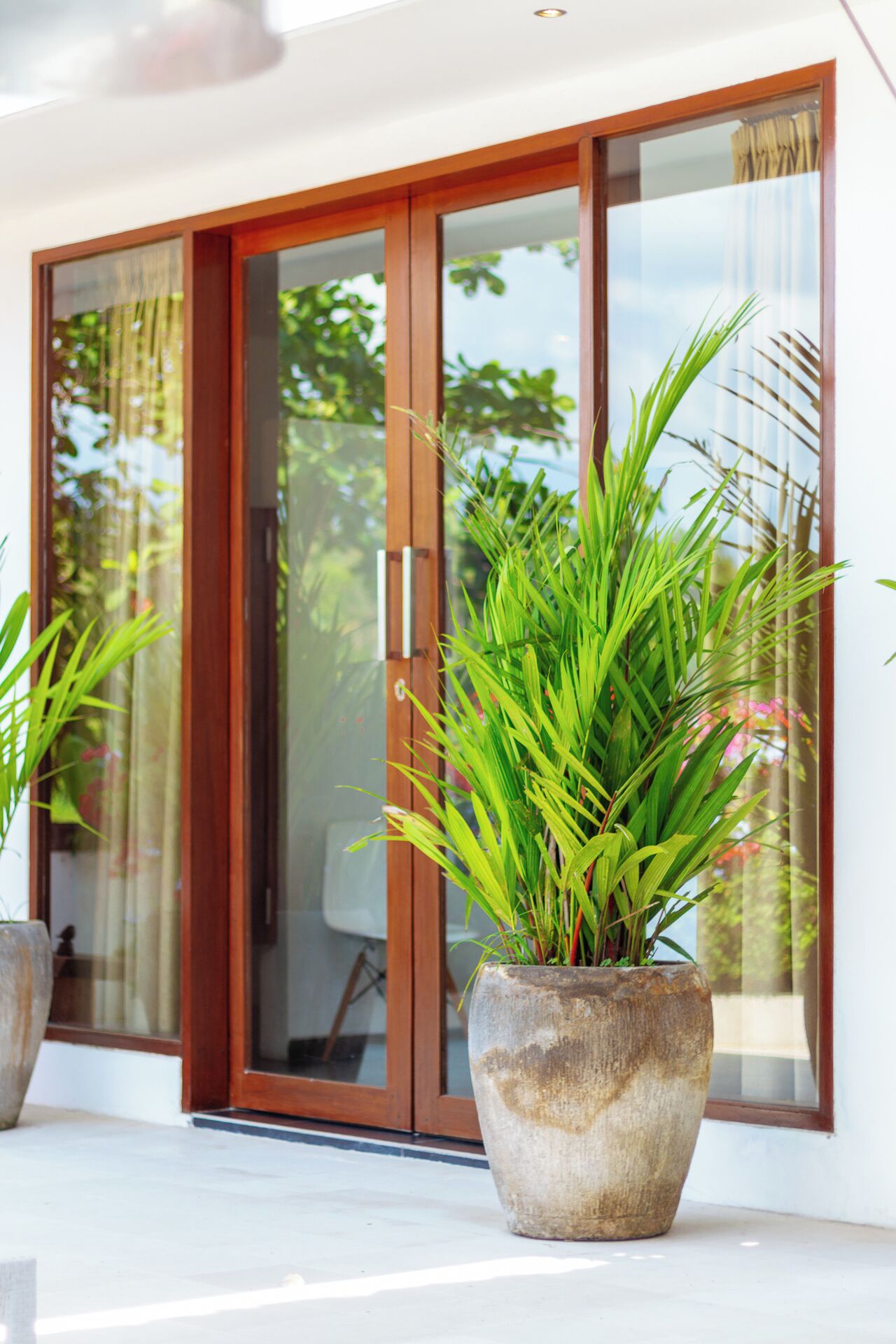 A modern building with large glass doors and a potted plant in the foreground.