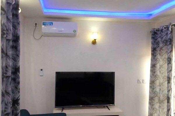 Flat-screen TV