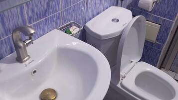 Chuveiro, secador de cabelo, toalhas de banho, sabonete