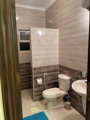 Shower, hair dryer, bidet, towels