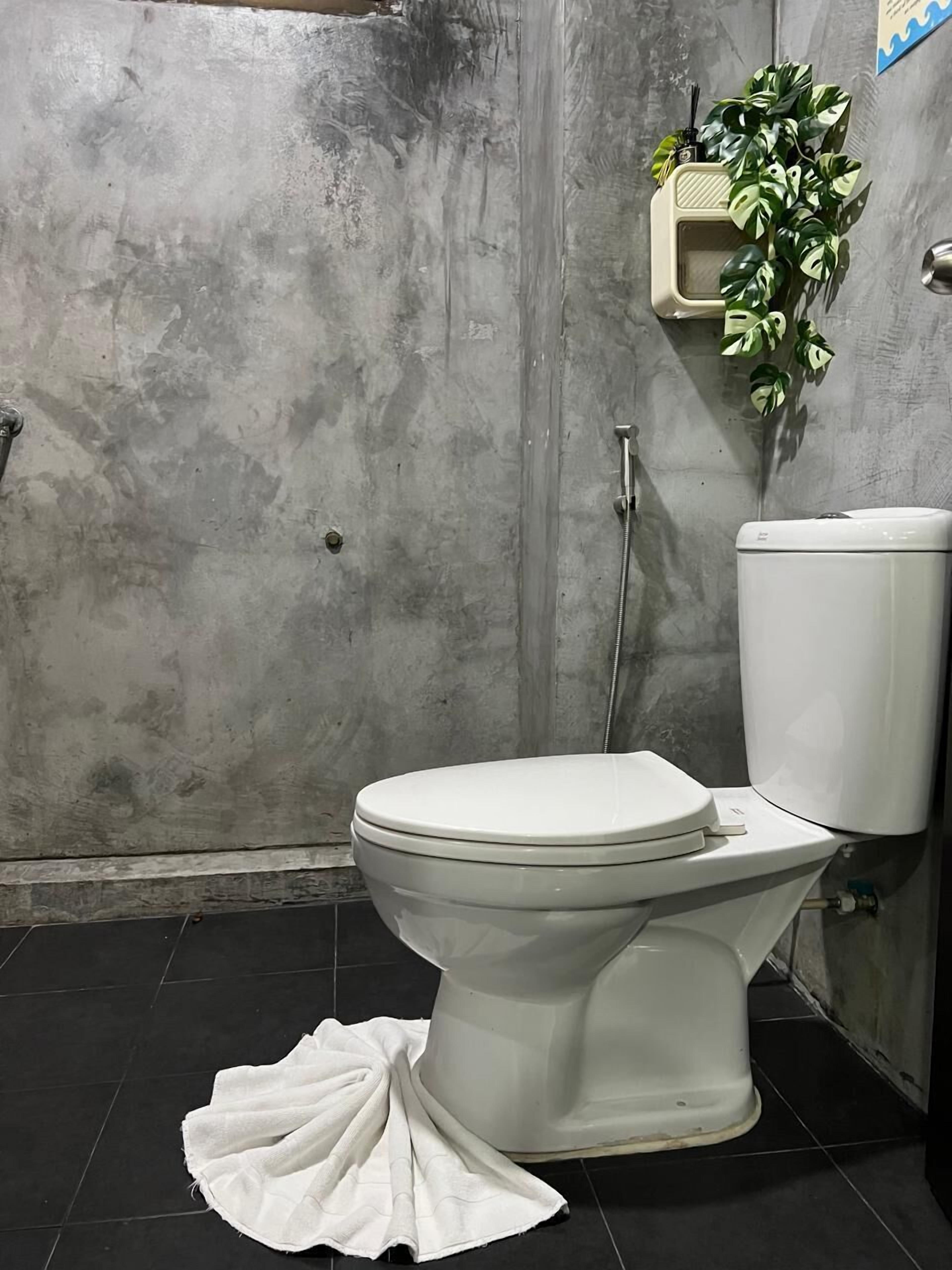 A bathroom with a white toilet, a shower, and a wall-mounted plant.