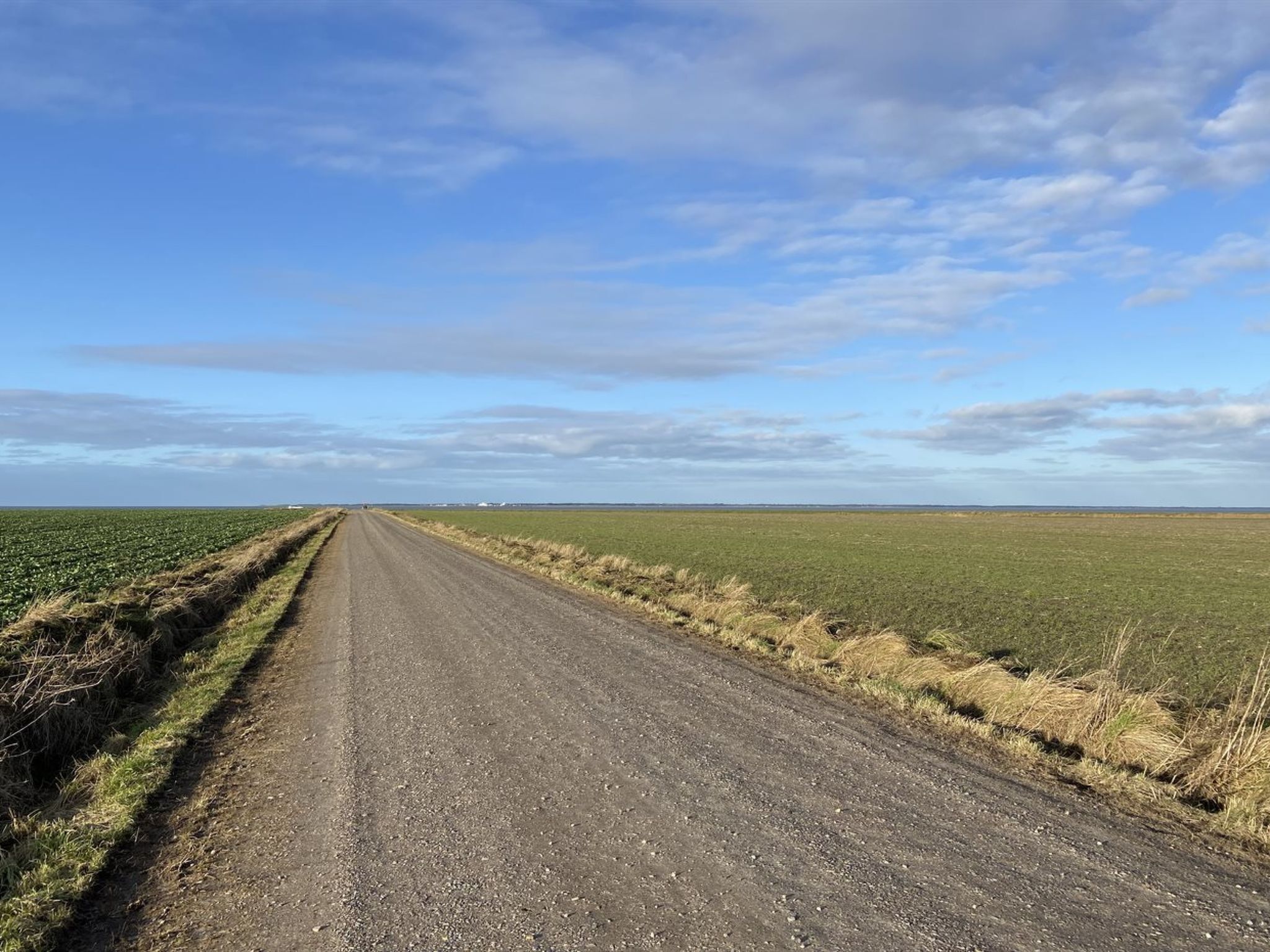 A rural road flanked by fields under a clear sky.