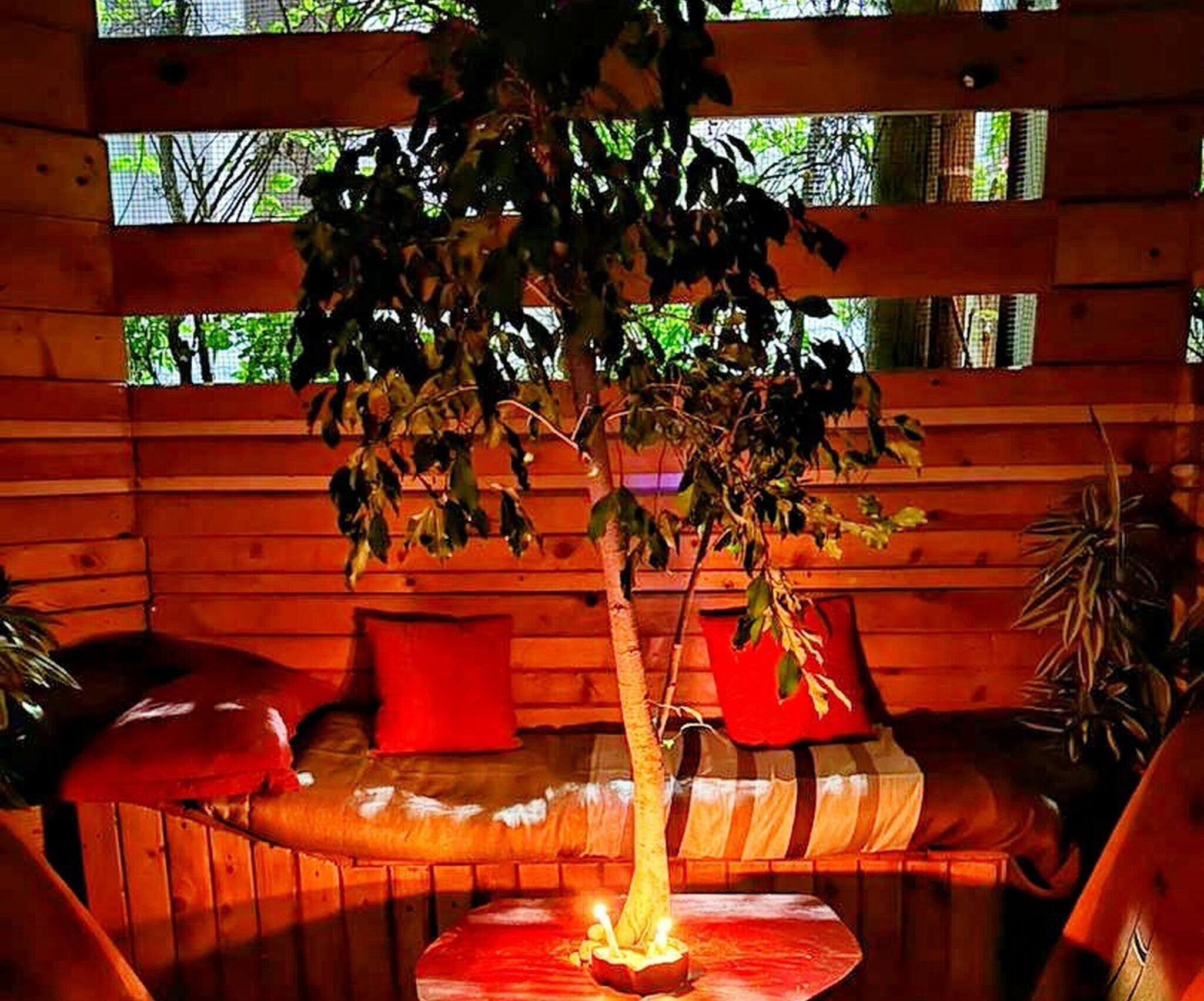 A wooden cabin interior with a central table, a bench with red cushions, and a potted plant.