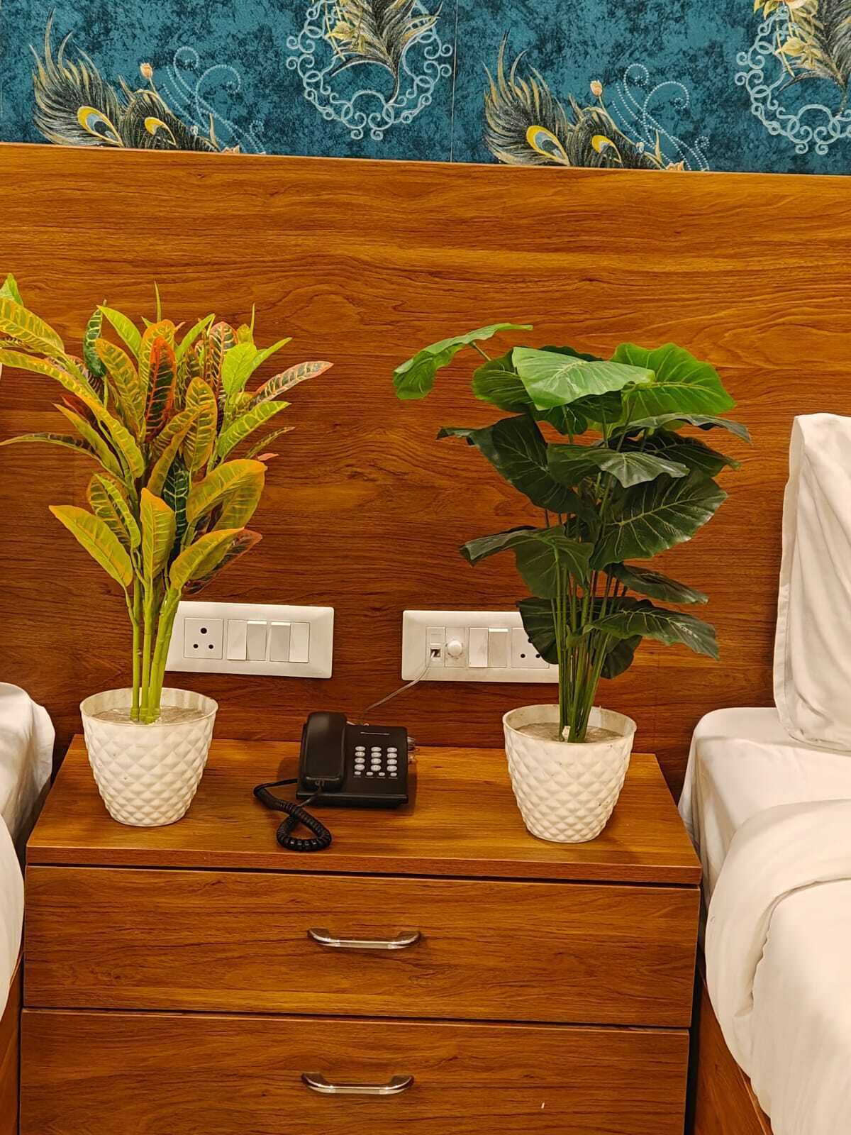 A wooden nightstand with two potted plants, a black telephone, and a drawer with two handles.