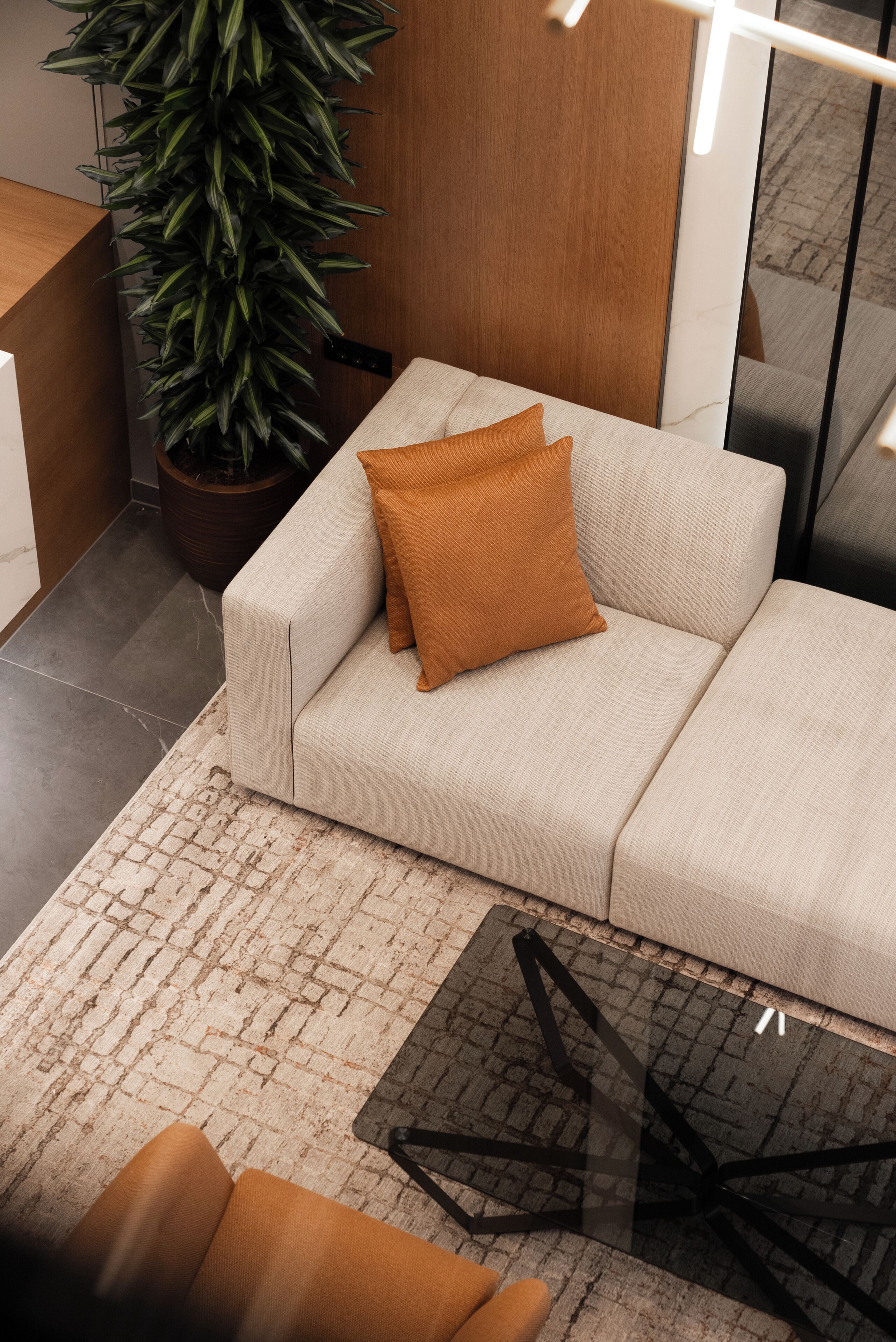 A modern living room with a beige sofa, a brown cushion, a large potted plant, and a glass coffee table.