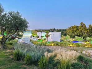 A landscaped area with a pool, a white building, and a tree.