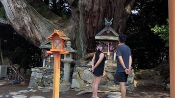 Ecotours