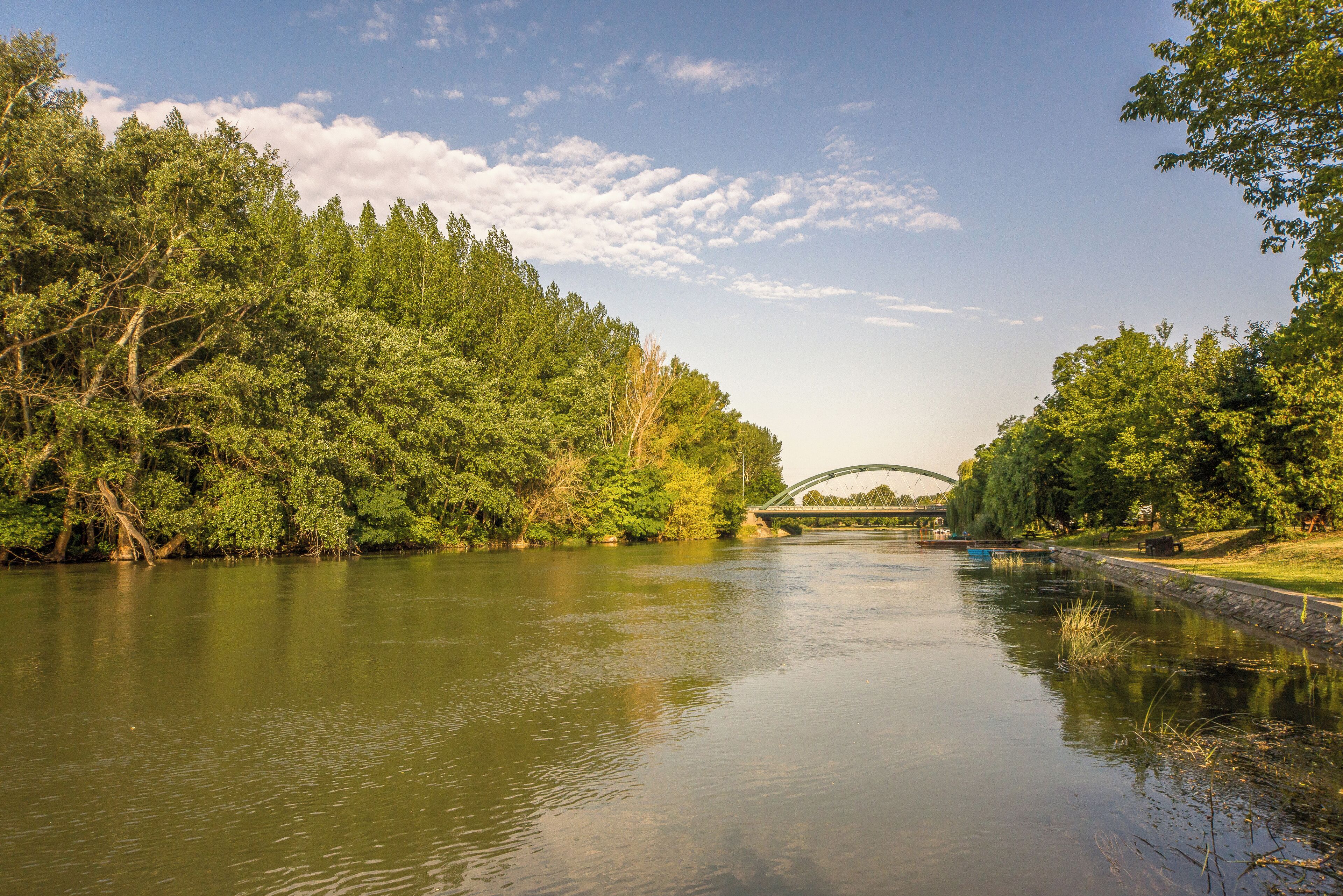 Un río con un puente, rodeado de árboles frondosos y un cielo despejado.