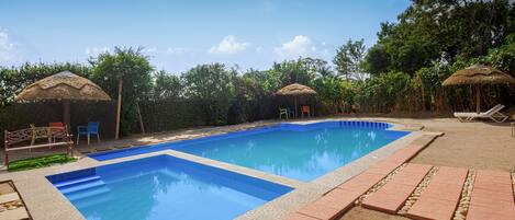 A rectangular swimming pool with a tiled edge, surrounded by lounge chairs and thatched umbrellas.