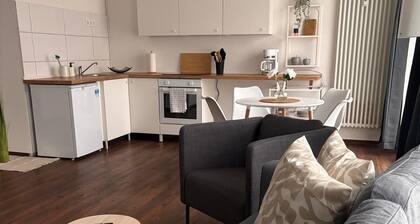 Cozy apartment with kitchen and good transport connections