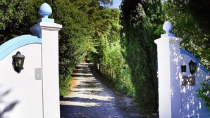 A cobblestone pathway leading through a white gate with a blue top, surrounded by lush greenery. - Pine Tree House in Azeit o (Setubal)
