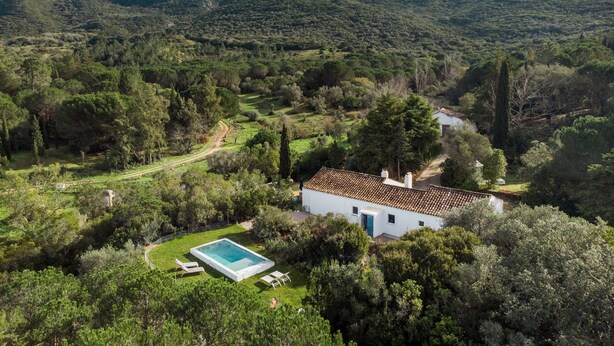 Une villa avec piscine, entourée d’une végétation luxuriante et de montagnes.